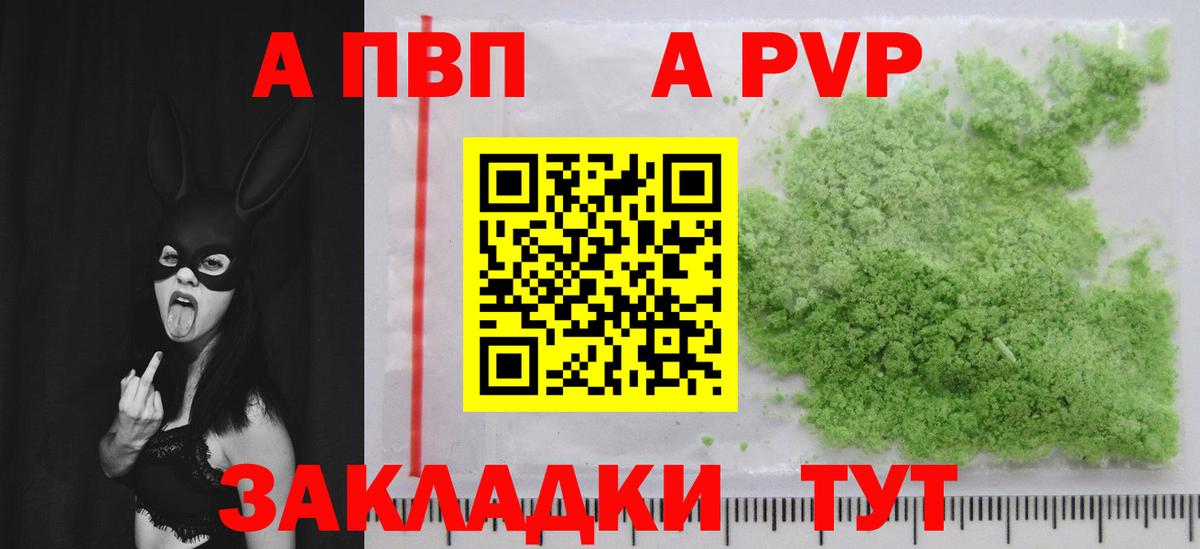 Alfa_PVP СК КРИС Майкоп