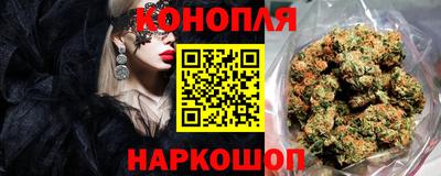 бошки Дубна