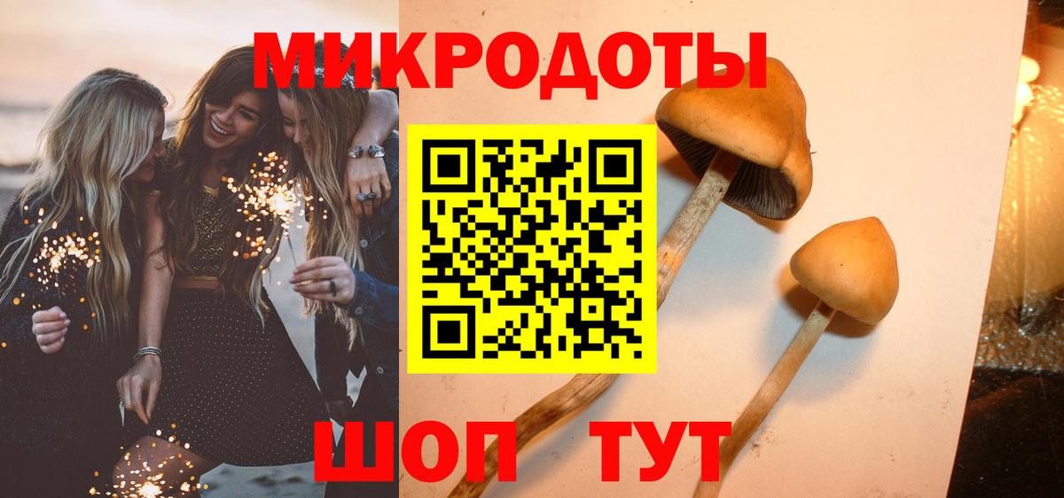 Майкоп  Галлюциногенные грибы Magic Shrooms  Вход с VPN 